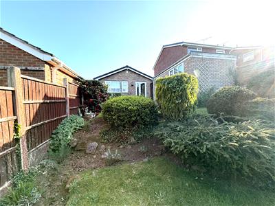 Picture 14